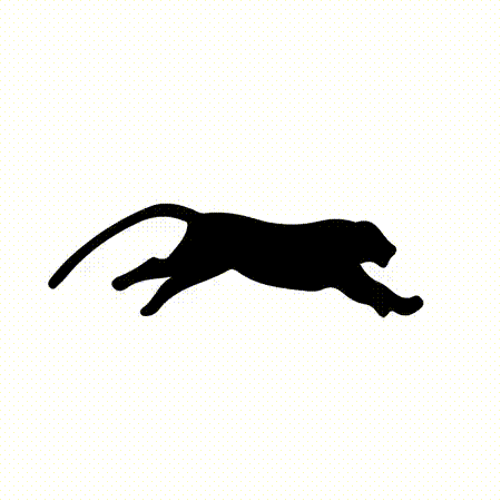Tiger Typing Loader